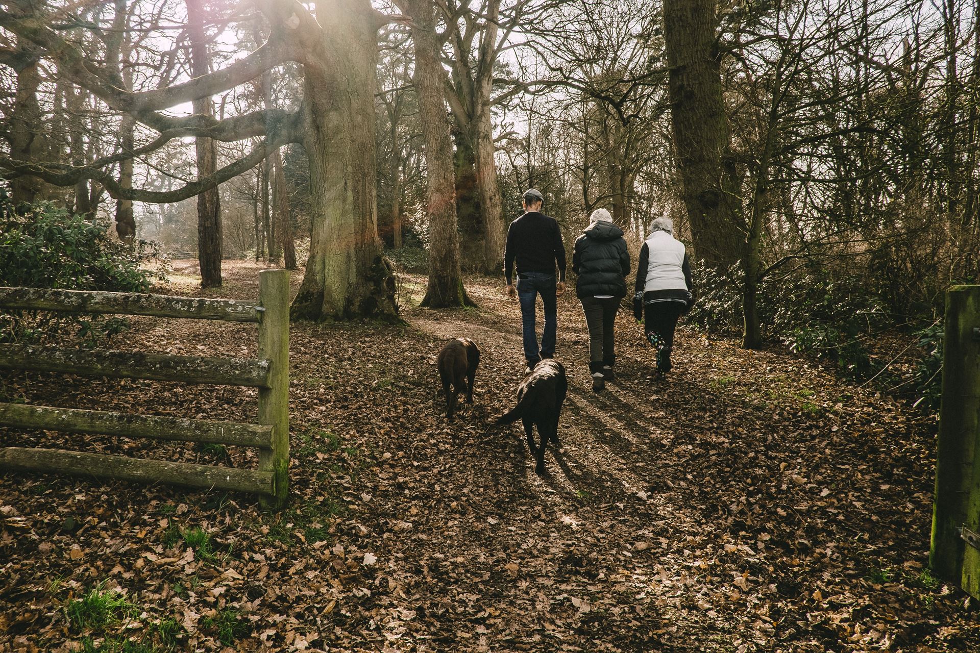 Walking in nature 